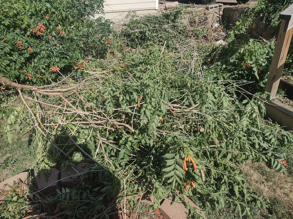 Expert lawn care service experts serving Yankton, SD - GFC Lawn Care