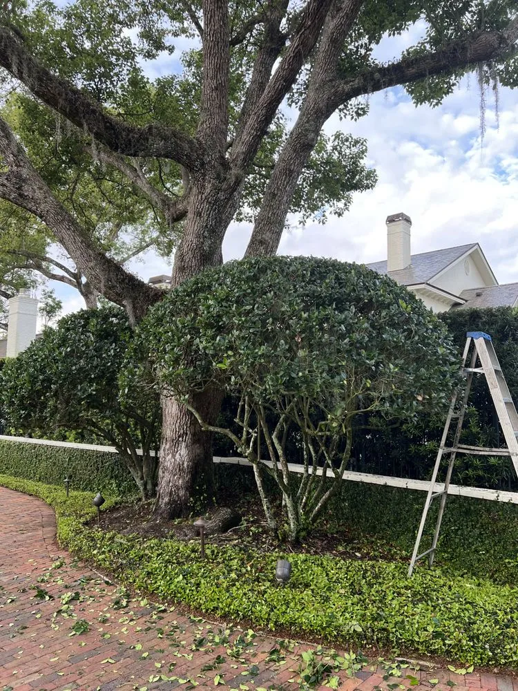 Reliable landscaping services for residential properties in Sanford, FL by Gfp Landscaping