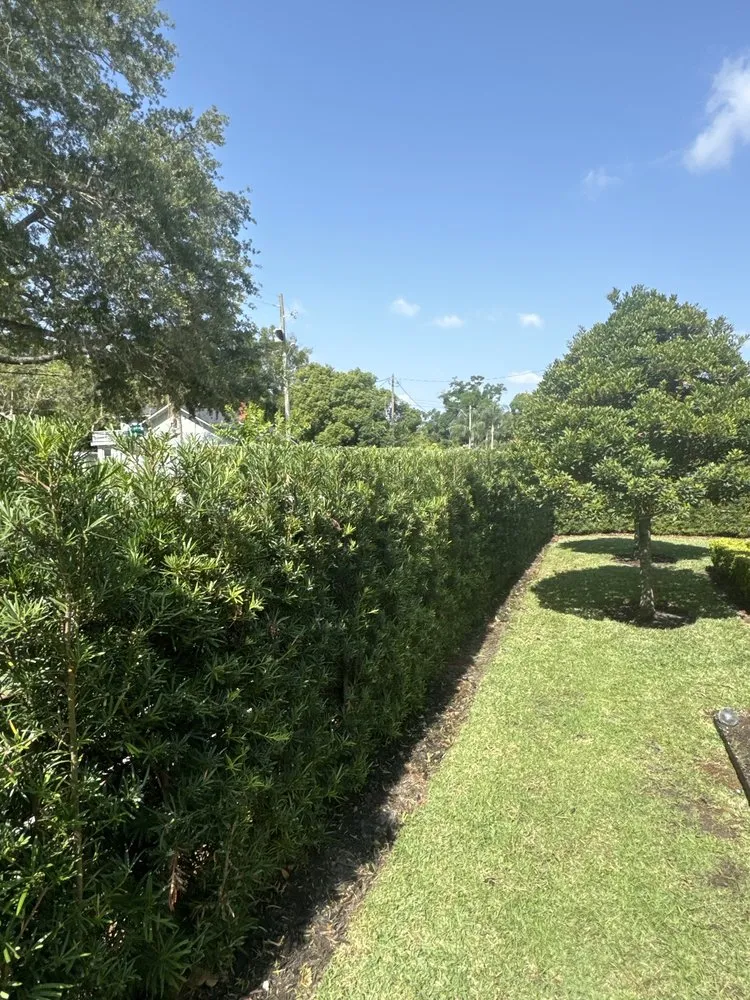 Professional yard maintenance for beautiful yards in Sanford, FL by Gfp Landscaping