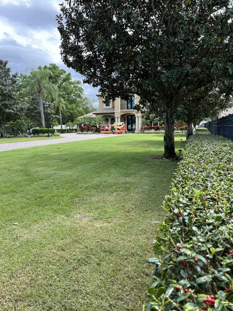 Affordable outdoor landscaping experts serving Sanford, FL - Gfp Landscaping