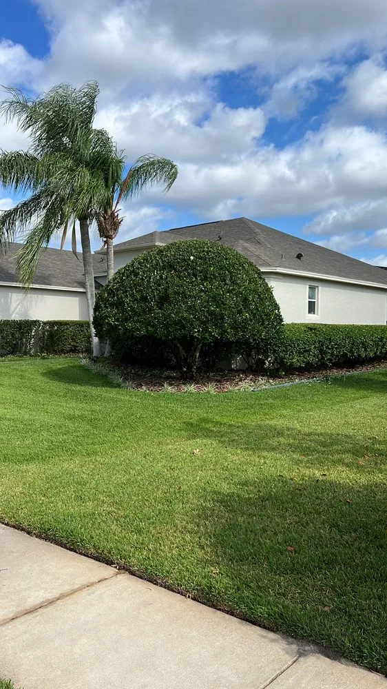 Trusted landscaping services for residential properties in Sanford, FL by Gfp Landscaping