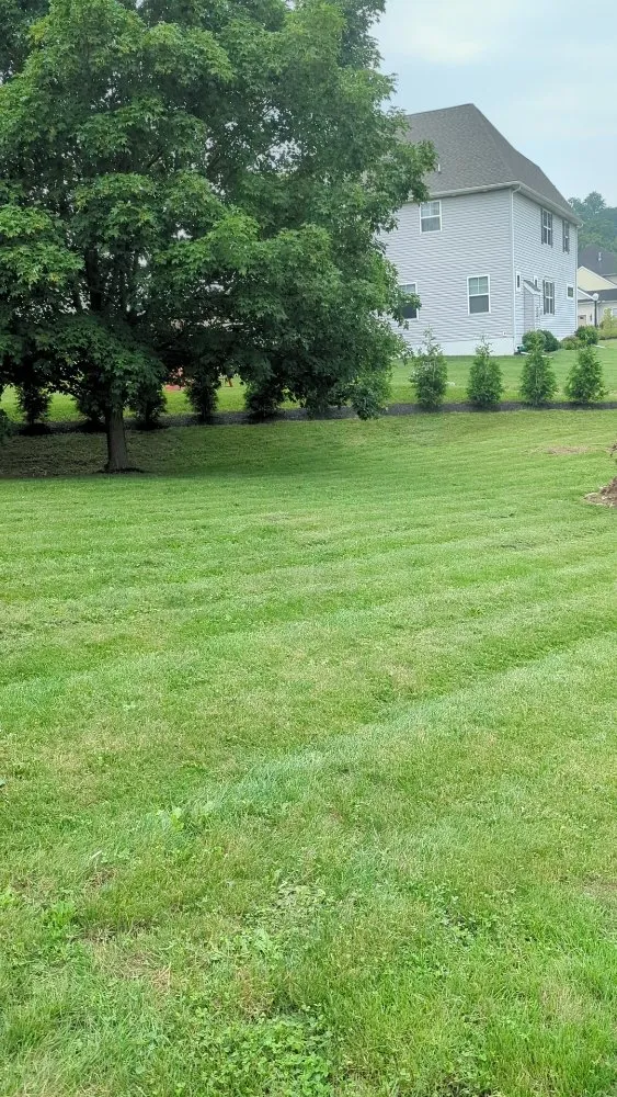 Professional lawn care service for year-round maintenance across Lancaster, PA - GFS Lawn Care Services