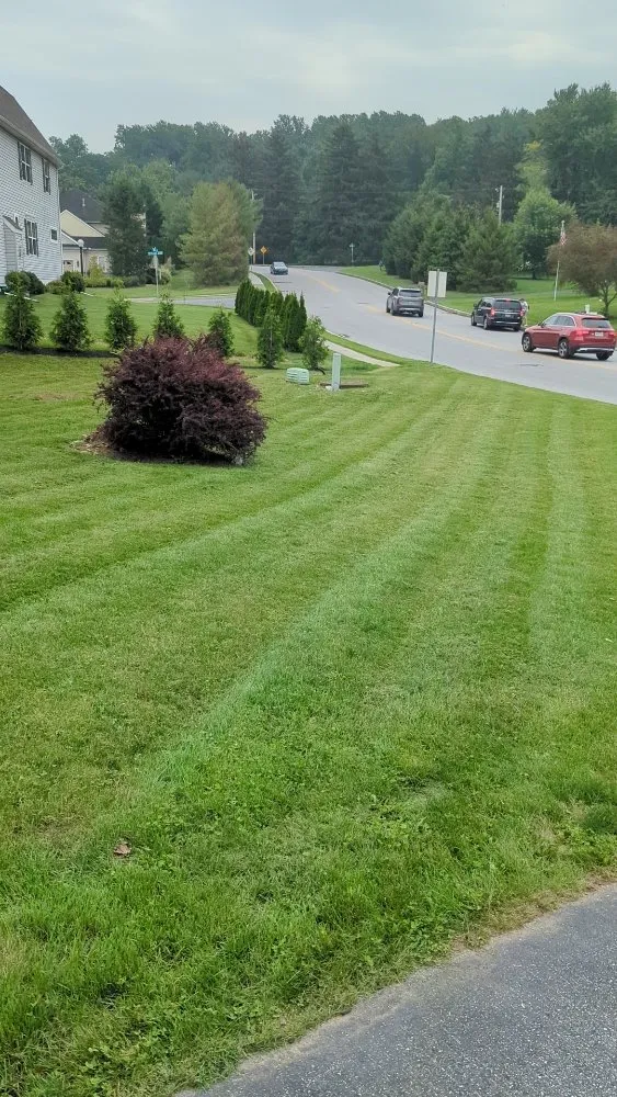 Top-rated garden landscaping in Lancaster, PA by GFS Lawn Care Services
