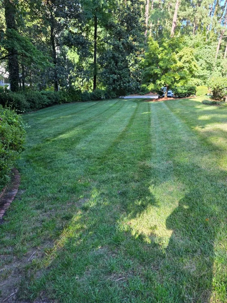 Local yard cleanup service for outdoor upgrades in Bailey, NC by GG & G Lawn Care