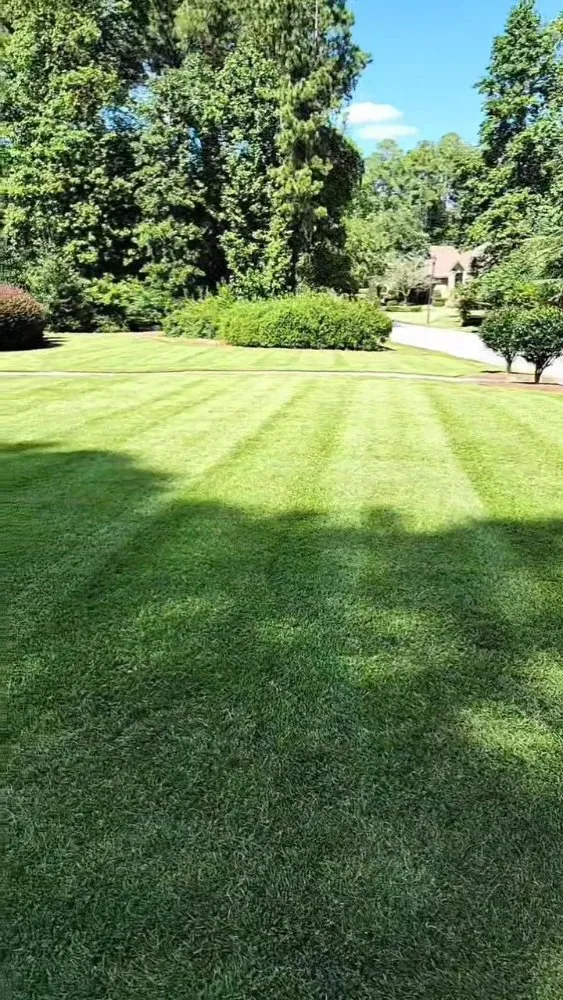 Reliable yard cleanup service experts serving Bailey, NC - GG & G Lawn Care