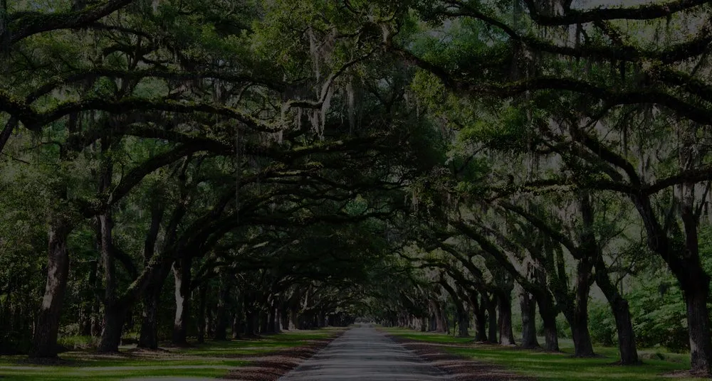 Professional landscape installation for year-round maintenance in Austin, TX by G&G Arbor and Land Services