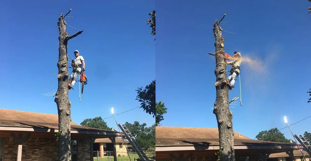 Reliable landscape design in Austin, TX by G&G Arbor and Land Services