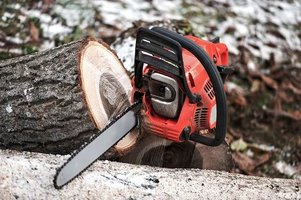 G&G Arbor and Land Services Logo