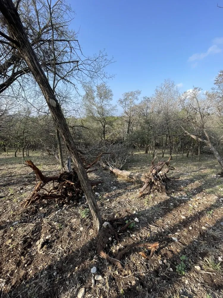 Reliable garden landscaping for residential properties across Kerrville, TX - G&G Construction