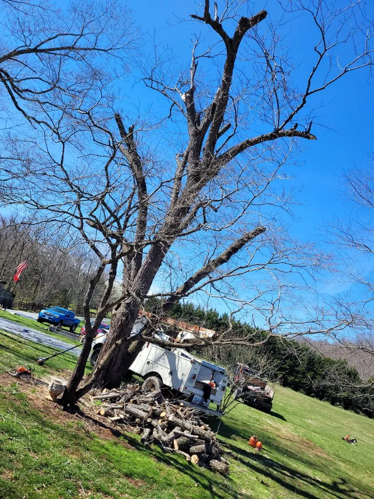 Affordable lawn mowing service in Goode, VA by G&G Construction Services