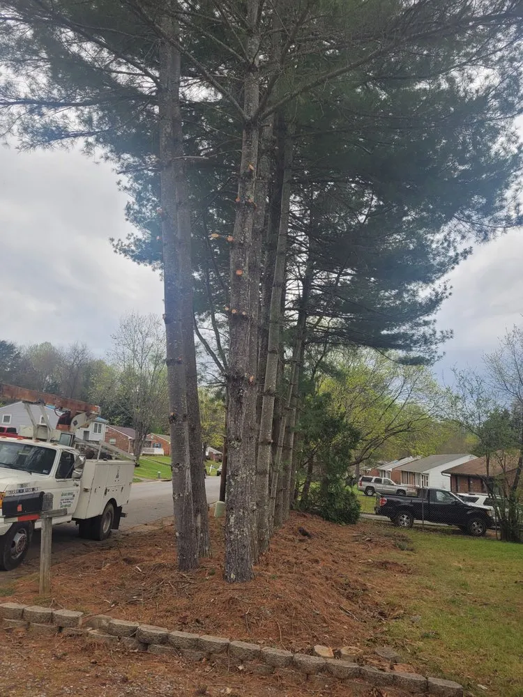Top-rated residential landscaping in Goode, VA by G&G Construction Services