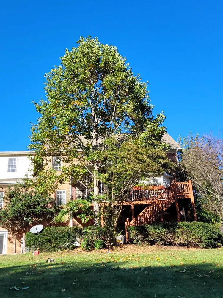 Local garden landscaping experts serving Goode, VA - G&G Construction Services