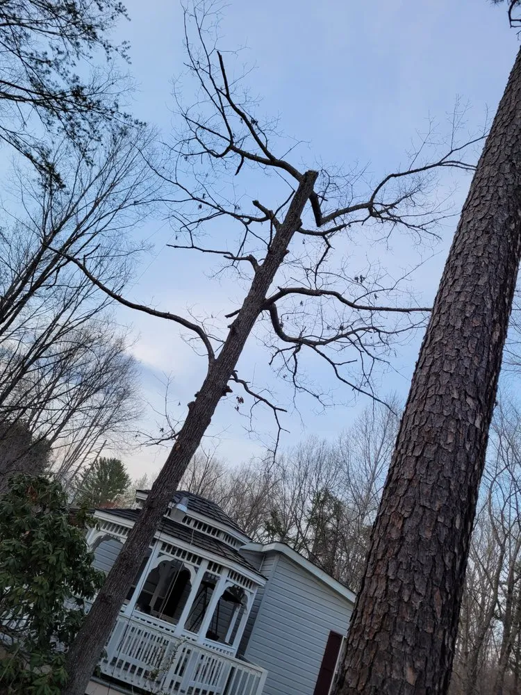 Reliable residential landscaping for residential properties across Goode, VA - G&G Construction Services