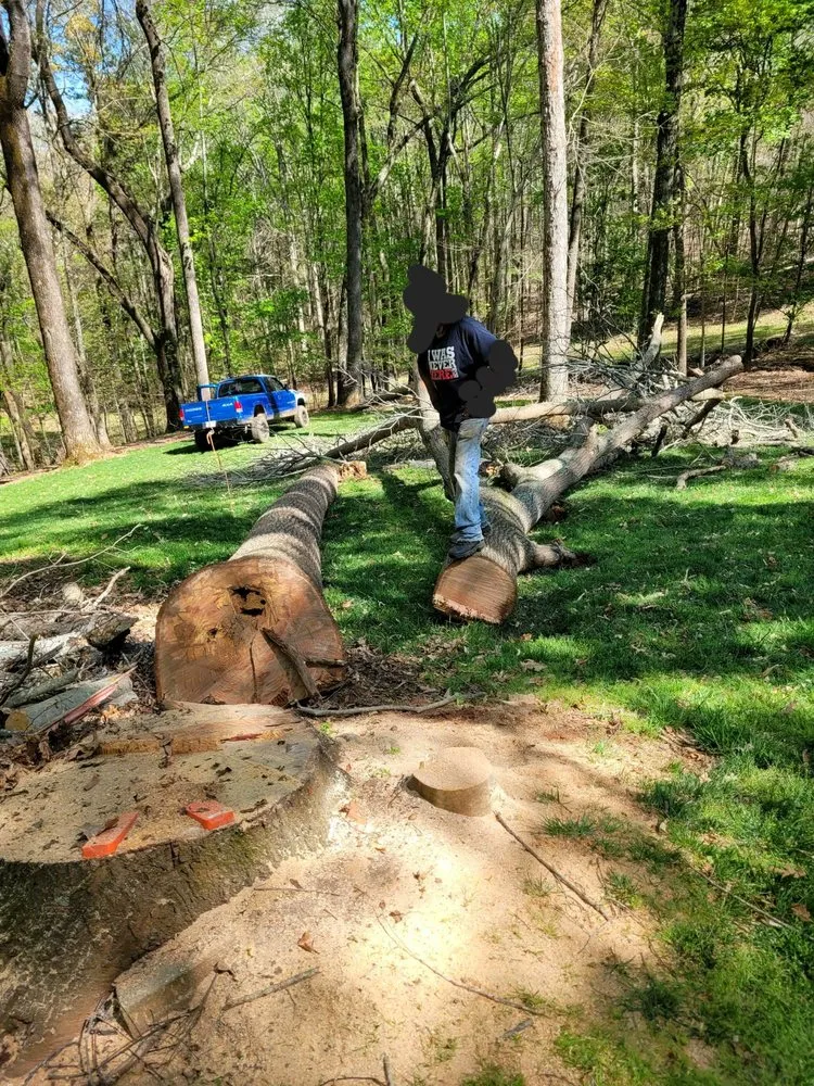 Top-rated yard cleanup service experts serving Goode, VA - G&G Construction Services