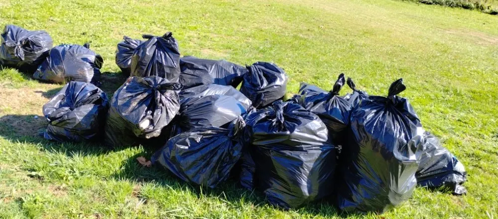 Local landscape installation in Asheville, NC - GG Does It