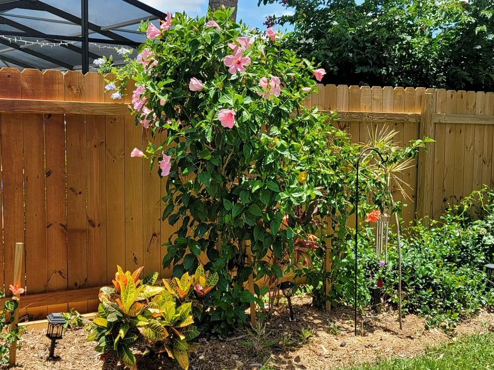 Professional lawn mowing service for year-round maintenance in Sarasota, FL by G&G Garden and Lawn Care