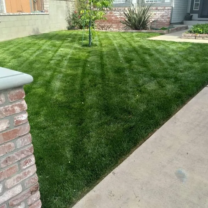 Affordable lawn mowing service near you across Stockton, CA - G&G Garden And Maintenance