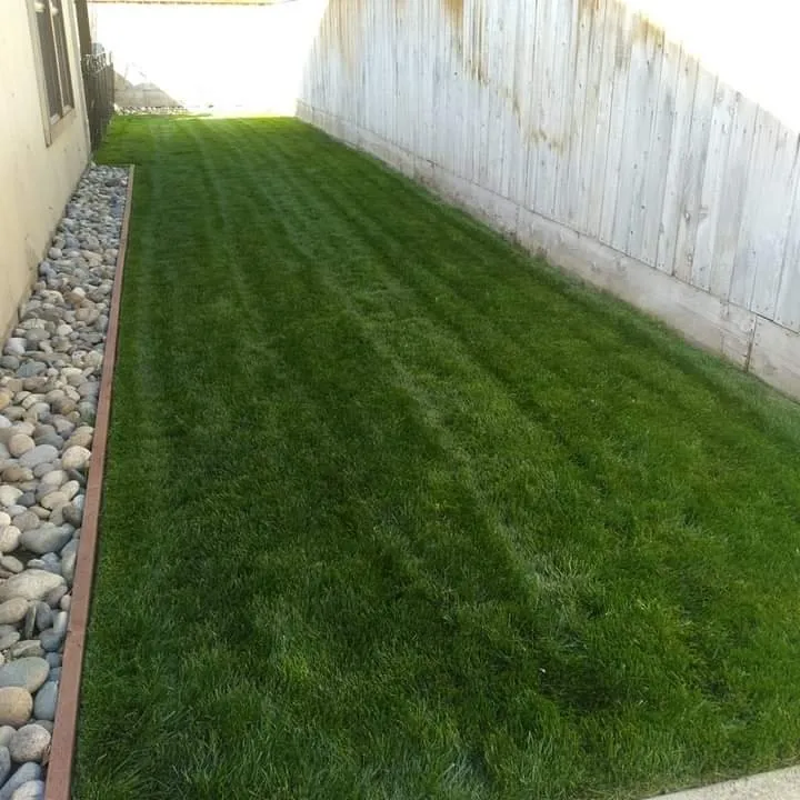 Trusted lawn care service in Stockton, CA by G&G Garden And Maintenance