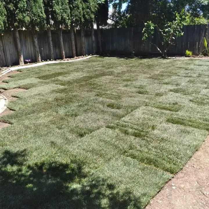 Expert landscape design in Stockton, CA by G&G Garden And Maintenance