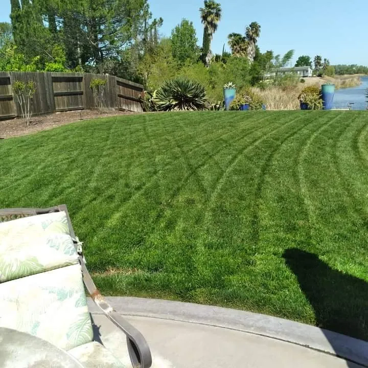 Professional yard cleanup service for residential properties across Stockton, CA - G&G Garden And Maintenance