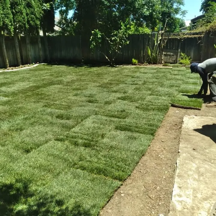 Trusted residential landscaping in Stockton, CA - G&G Garden And Maintenance