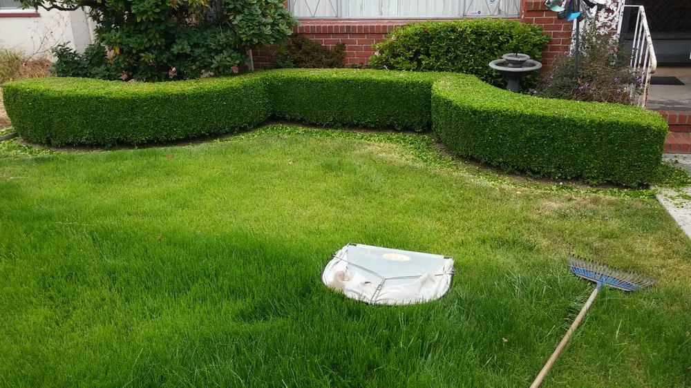 Custom landscape design for year-round maintenance across Hayward, CA - G&G Garden Service