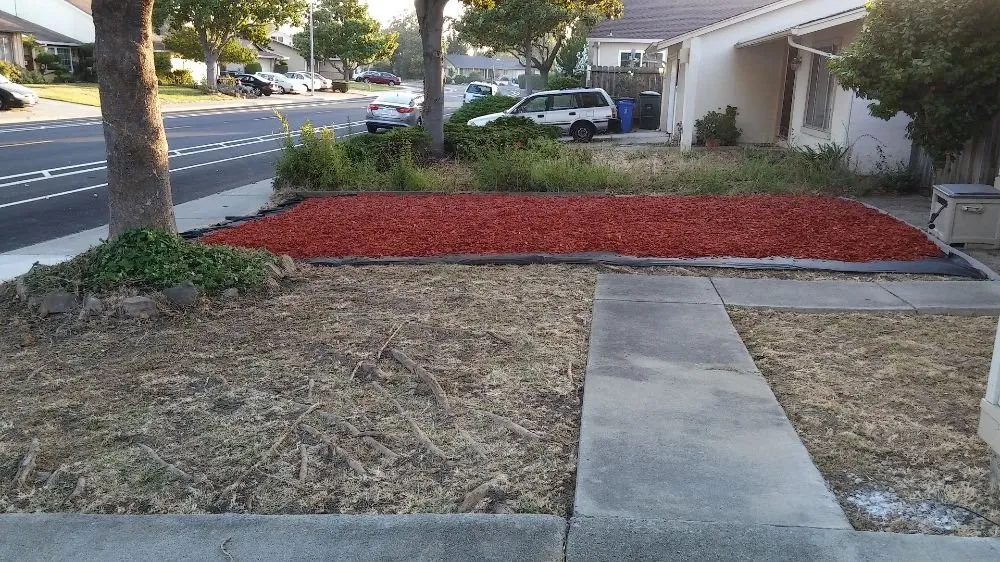 Top-rated lawn mowing service for beautiful yards in Hayward, CA by G&G Garden Service