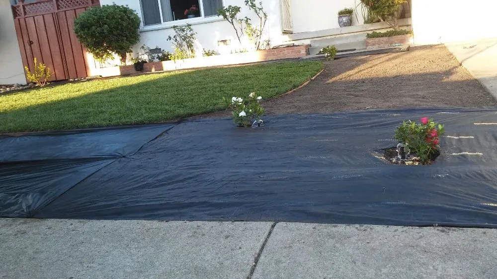 Professional landscape design in Hayward, CA - G&G Garden Service