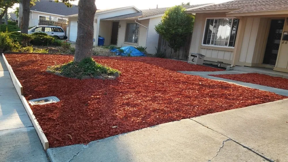 Professional yard cleanup service experts serving Hayward, CA - G&G Garden Service