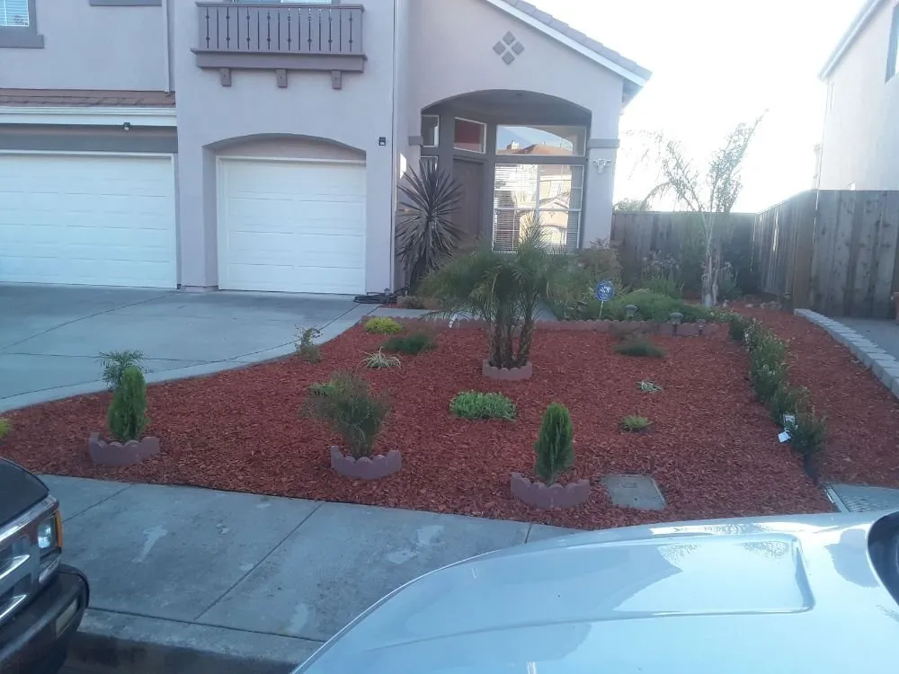 Top-rated lawn care service in Hayward, CA - G&G Garden Service