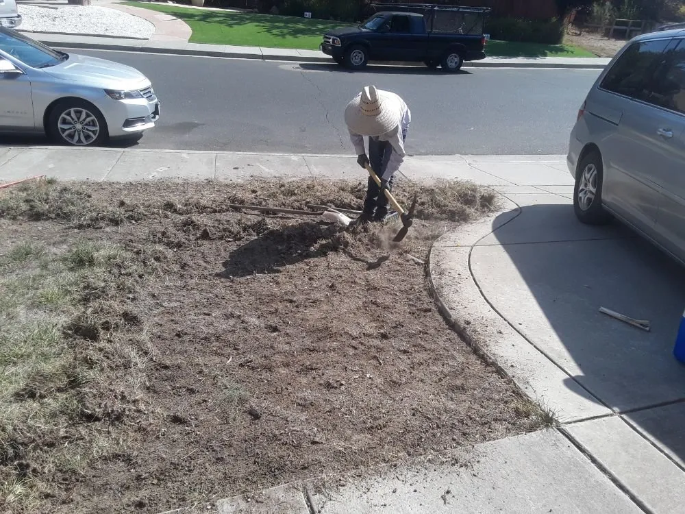 Reliable landscape installation experts serving Hayward, CA - G&G Garden Service