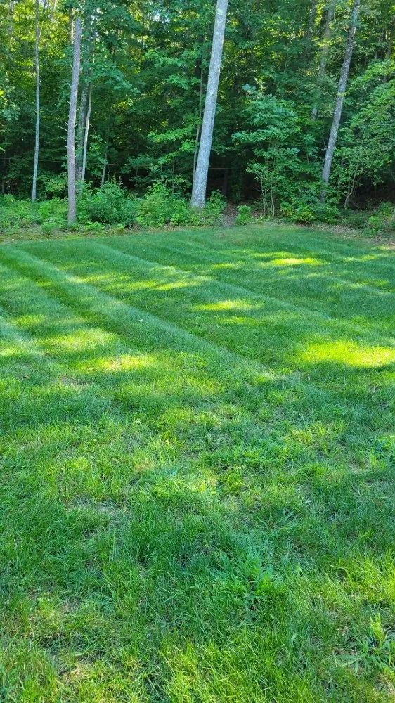 Expert landscaping services in Fredericksburg, VA by G&G Home Services