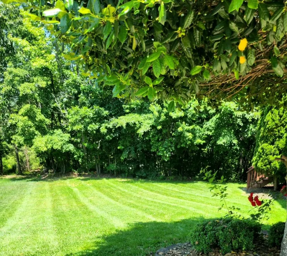 Professional lawn mowing service for beautiful yards across Fredericksburg, VA - G&G Home Services