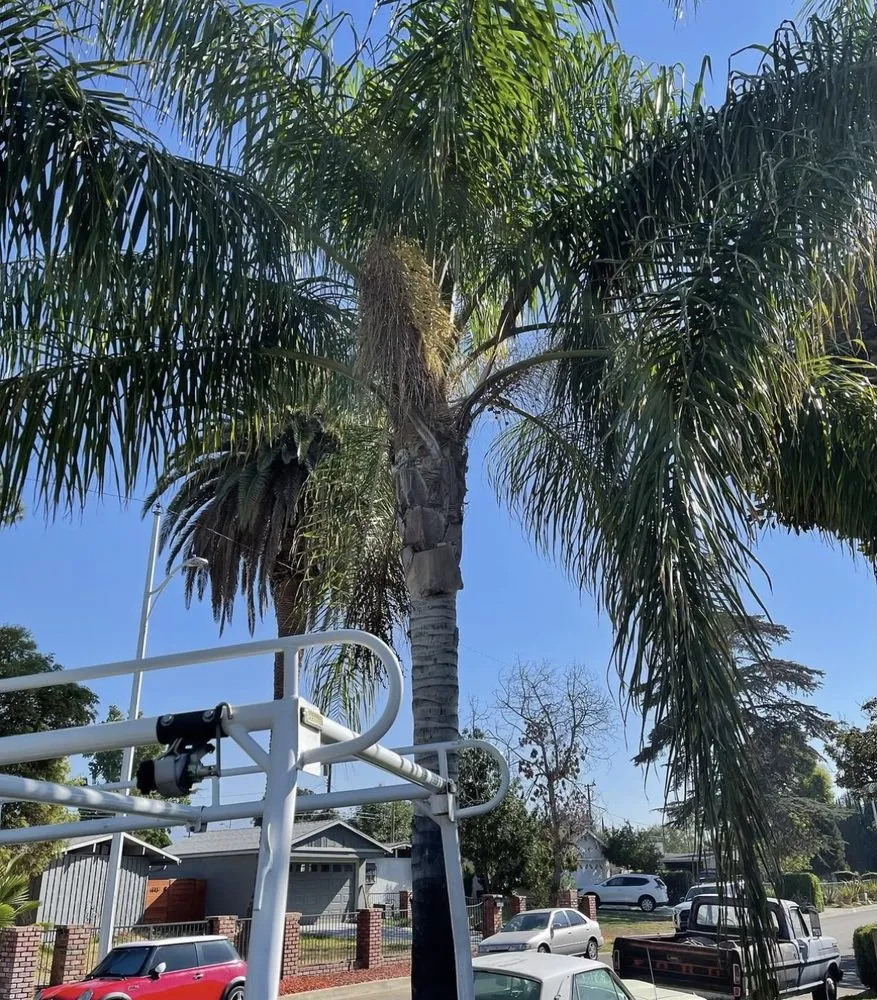 Professional residential landscaping for residential properties across Lake Elsinore, CA - G&G Junk Removal And Landscaping