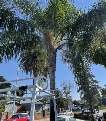 G&G Junk Removal And Landscaping Logo