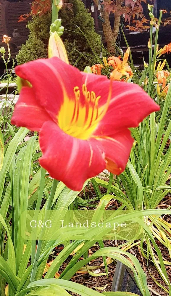 Custom lawn care service for outdoor upgrades in Valparaiso, IN by G&G Landscape