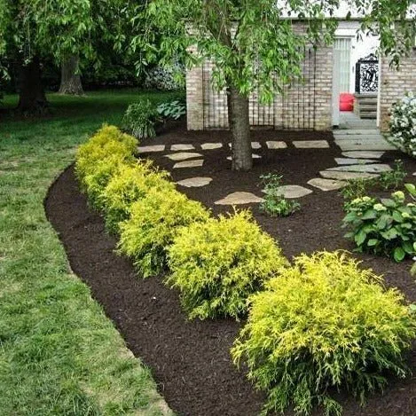 Custom yard cleanup service for outdoor upgrades across Valparaiso, IN - G&G Landscape