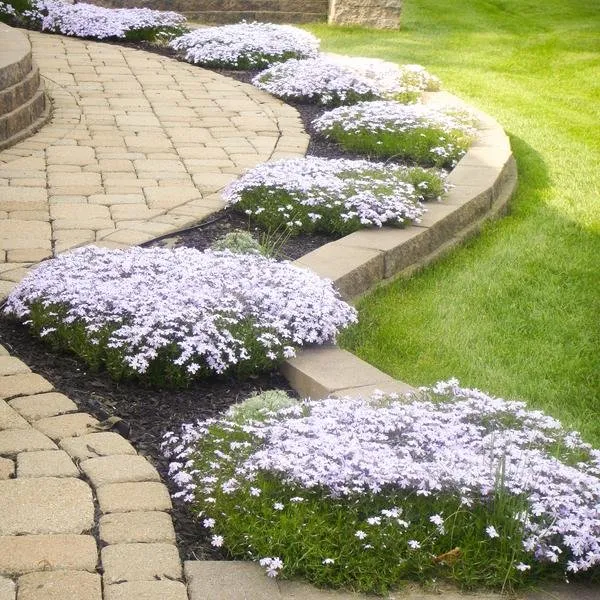 Trusted outdoor landscaping for beautiful yards across Valparaiso, IN - G&G Landscape