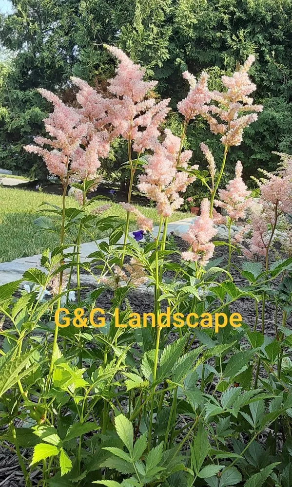 Local landscape installation in Valparaiso, IN by G&G Landscape