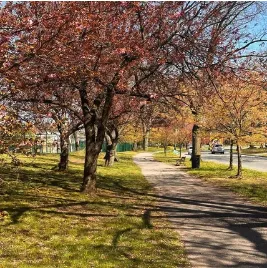 Trusted yard cleanup service in Congers, NY by GG Landscaping