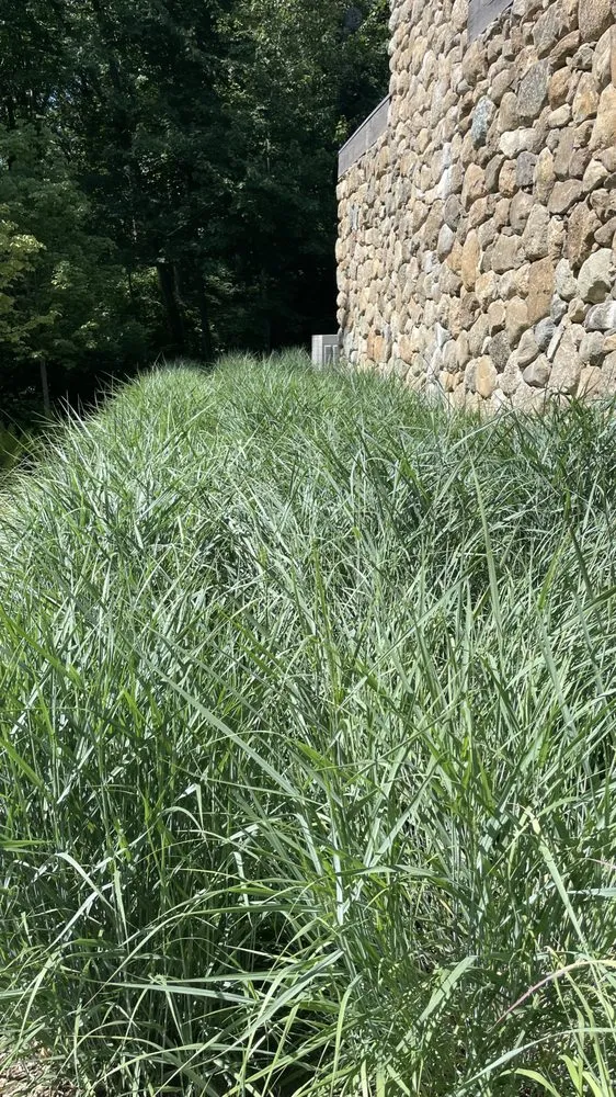 Affordable garden landscaping for homes across Danbury, CT - G&G Landscaping