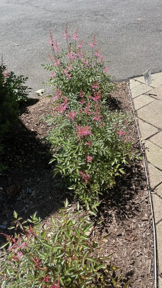 Trusted residential landscaping in Danbury, CT - G&G Landscaping