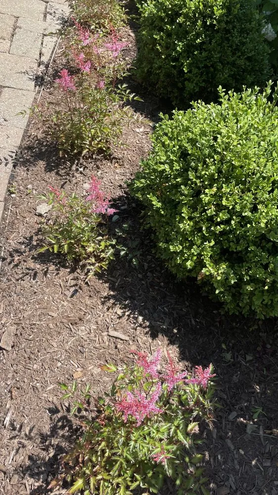 Top-rated lawn care service for residential properties in Danbury, CT by G&G Landscaping