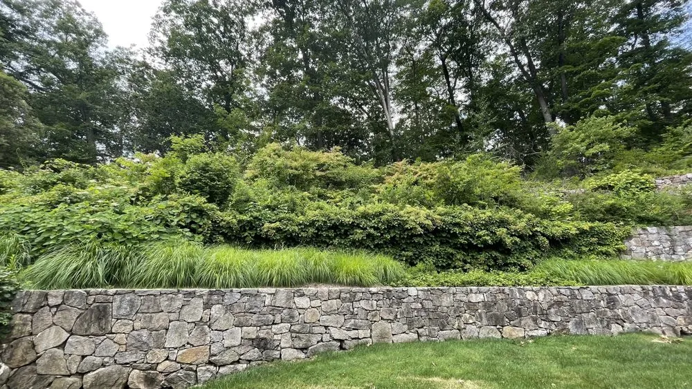 Expert lawn care service in Danbury, CT - G&G Landscaping