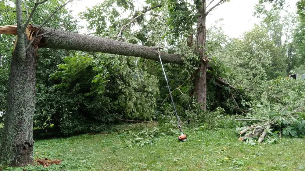 Trusted yard cleanup service in Hermitage, TN by GG Landscaping Full Service