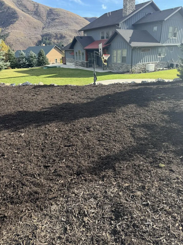 Affordable landscape installation for residential properties in La Mesa, CA by G&G landscaping