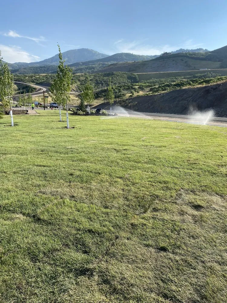 Expert yard cleanup service in La Mesa, CA by G&G landscaping