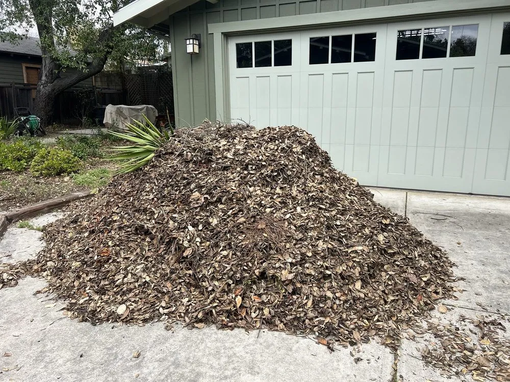 Affordable garden landscaping in Pomona, CA by G&G Lawn and Landscape