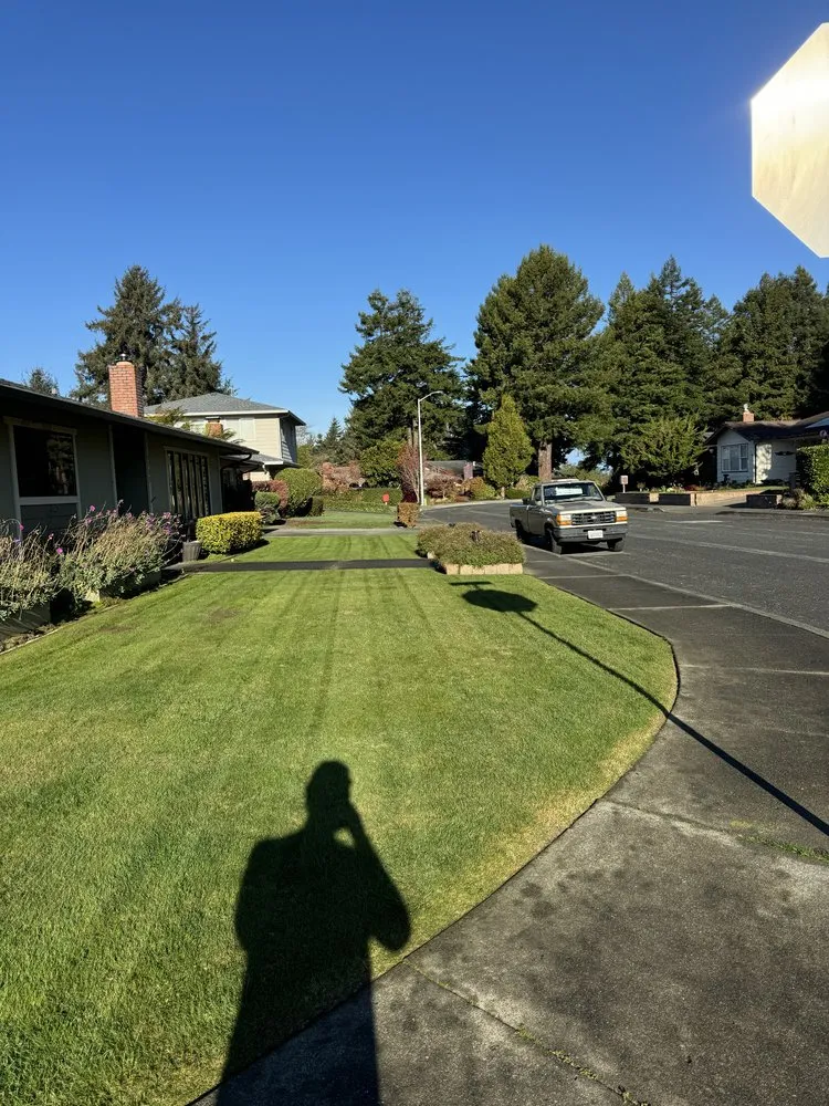 Affordable yard maintenance near you in Eureka, CA by G&G Lawn Care and Maintenance