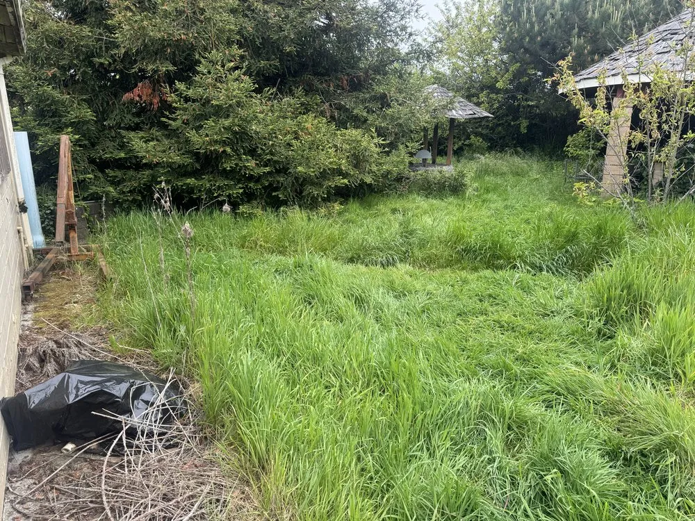 Top-rated garden landscaping for outdoor upgrades across Eureka, CA - G&G Lawn Care and Maintenance